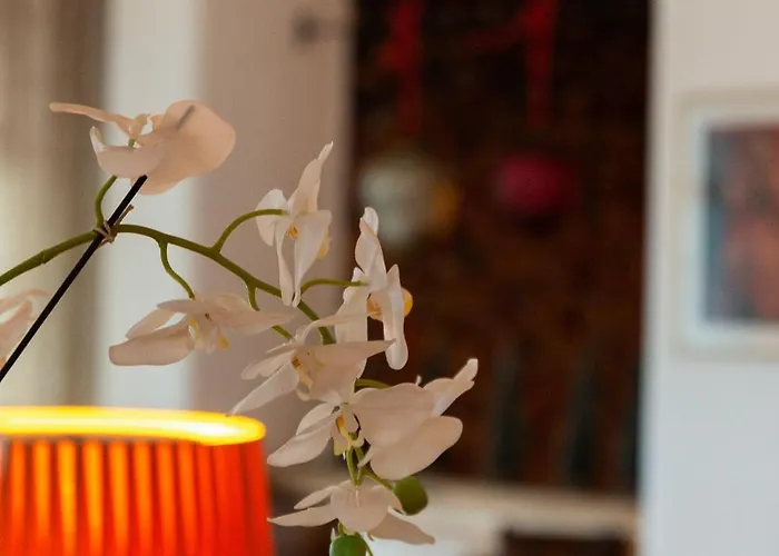 Hotel Europa Sankt Moritz